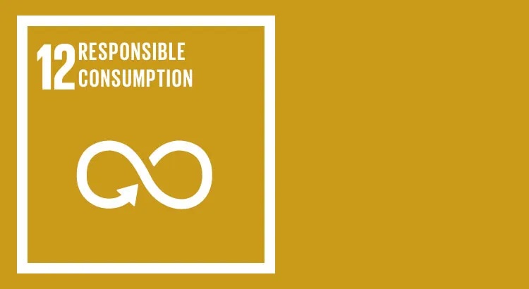 sdg 12 ensure sustainable consumption and production
