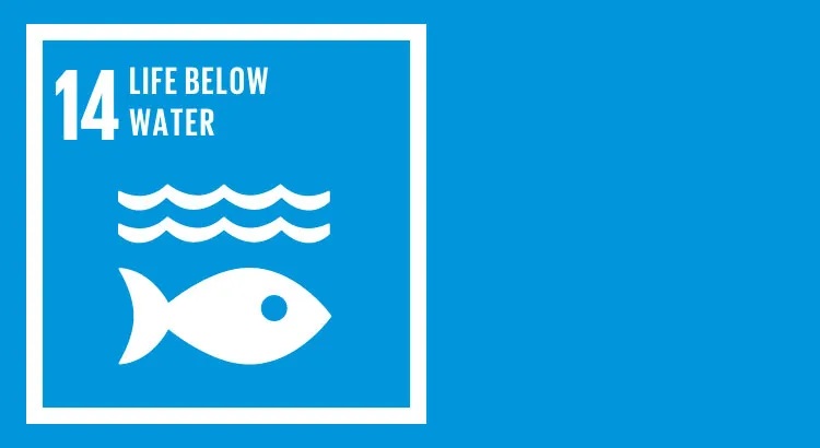 sdg 14 conserve and sustain the oceans seas and marine resources
