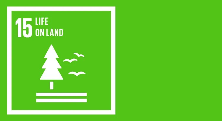 sdg 15 sustain life on land forest ground and animals