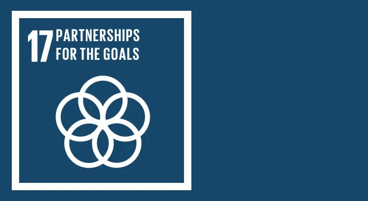 sdg 17 sustainable development through global partnerships