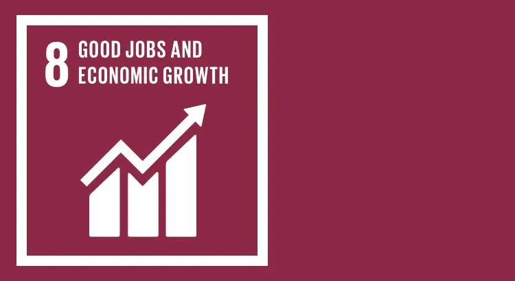 sdg 8 promote sustainable economic growth and employment for all